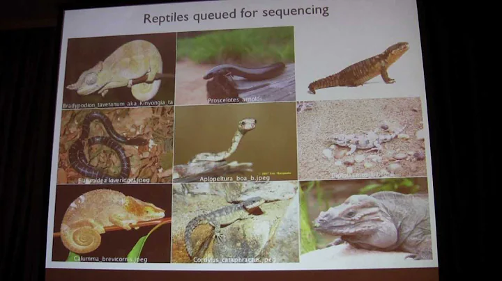 Joe DeRisi at the 2013 Genomics of Energy & Environment Meeting