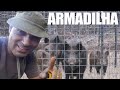 Armadilha pra javali