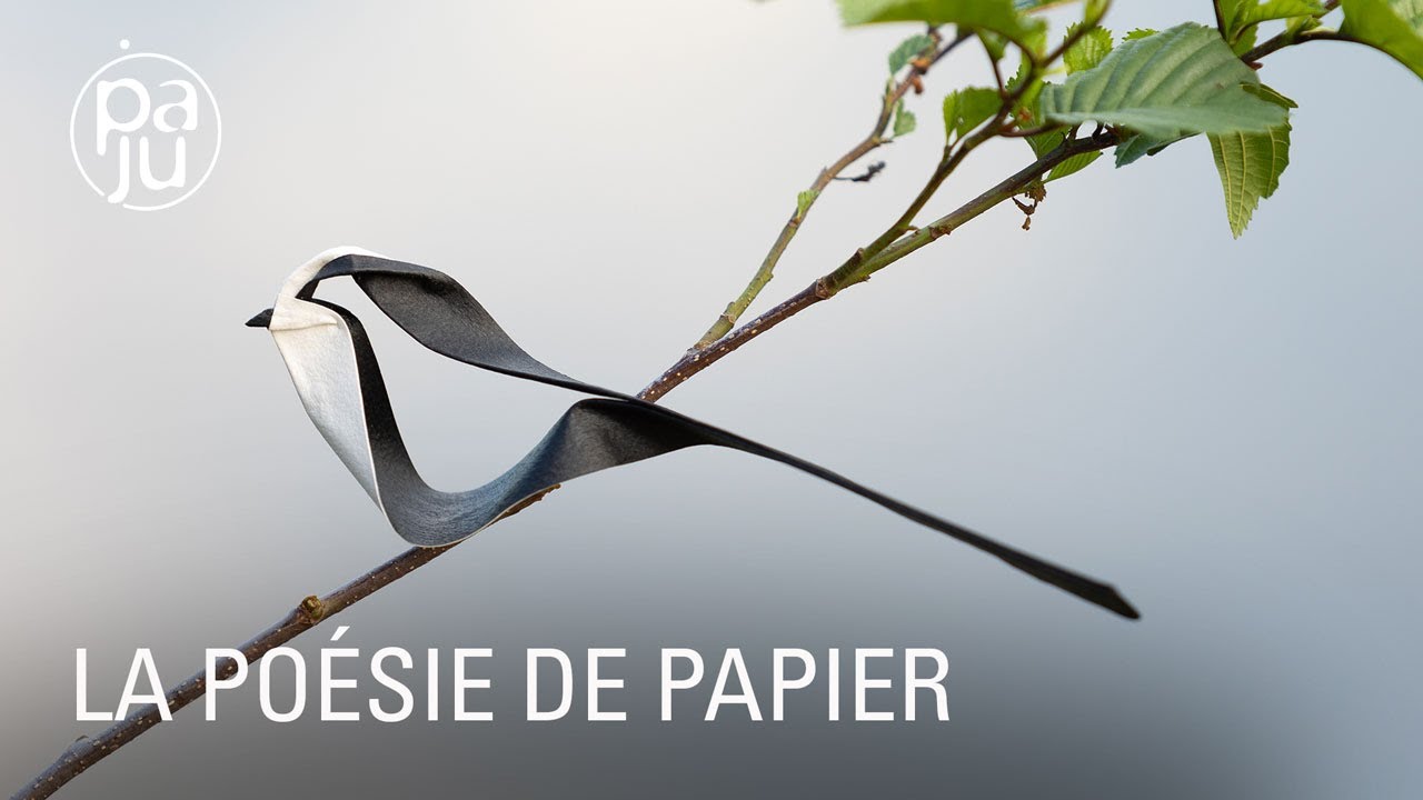 Origamiste, Jonathan reproduit les animaux  qu'il épie en forêt avec du papier