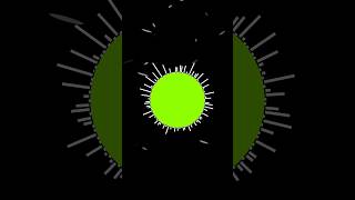 Audio Spectrum Circle on Black Screen |With Chroma Key Effect #shorts