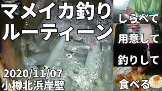 2020/11/07 マメイカ釣りのルーティーン 小樽北浜岸壁 エギング 再アップロード  #84