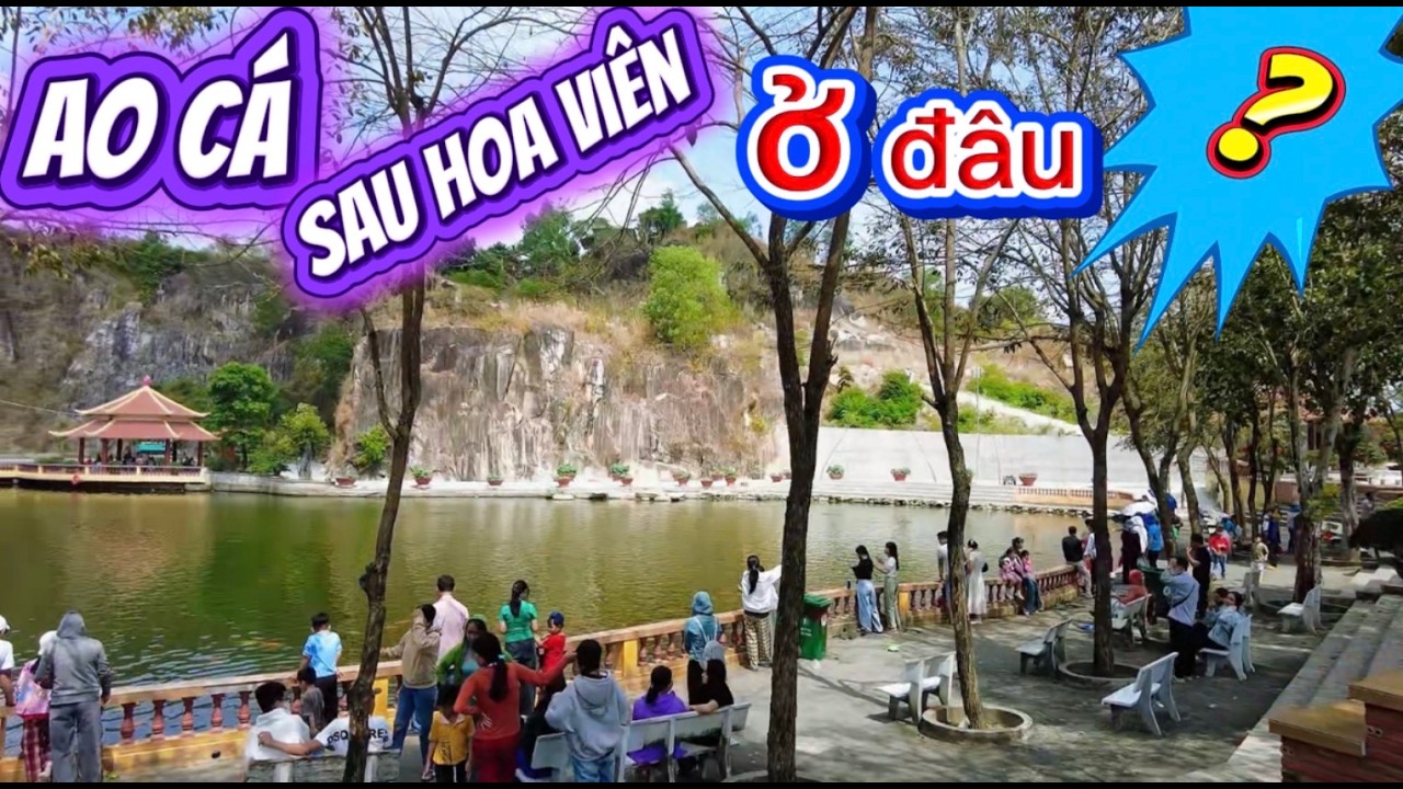 Ao Cá Phía Sau Hoa Viên – Điểm Tụ Họp Đông Vui Cuối Tuần