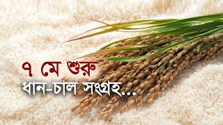 ৭ মে শুরু ধান-চাল সংগ্রহ | Paddy | Rice | Wheat | Procurement | Maasranga Business Report 2024