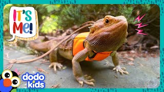 Brave Lizard Suits Up To Explore An Unknown World! | Dodo Kids | It&#39;s Me!