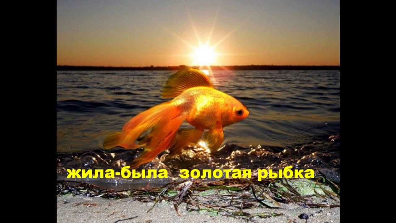 Самые исполняющие желания