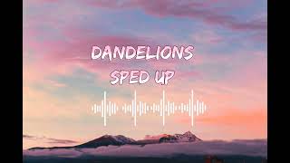 Sped Up Dandelions