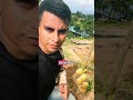Frutas raras de Brasil 🇧🇷 #shortsviral