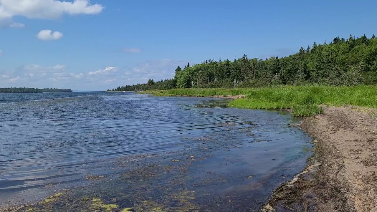 12699 Hwy 4, Soldiers Cove YouTube