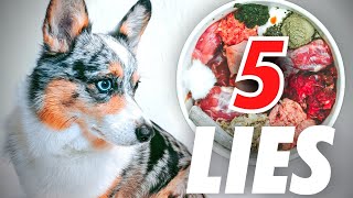 5 Big Lies About Raw Feeding Dogs