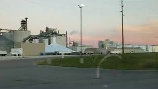 louis dreyfus plant