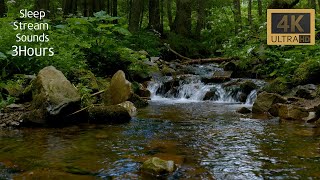 Sounds of nature, sounds of stream, sounds of forests, sleep, meditation, 3 hours of rest 시냇물 소리 by EXPAND ASMR 8 views 2 months ago 3 hours