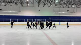 20200214 Juvenile practice IceSymmetrix