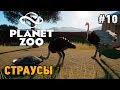 Planet Zoo страусы  #10 Страусы