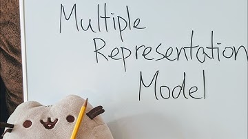 Multiple Representation Model