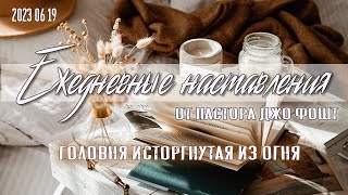 23 06 19 Головня исторгнутая из огня