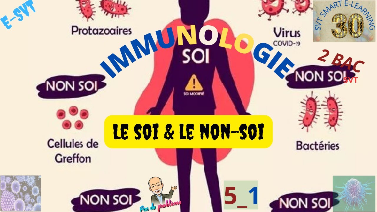 Immunologie le soi et le non soi