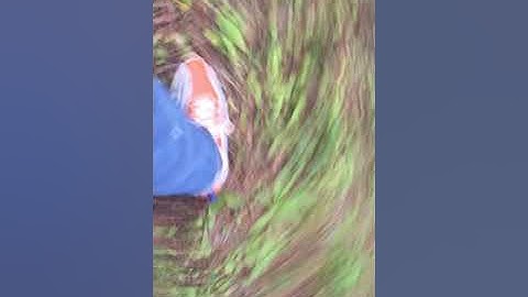 Never take the traction control off of a Corvette