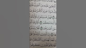 سورة محمد من آية 20_23