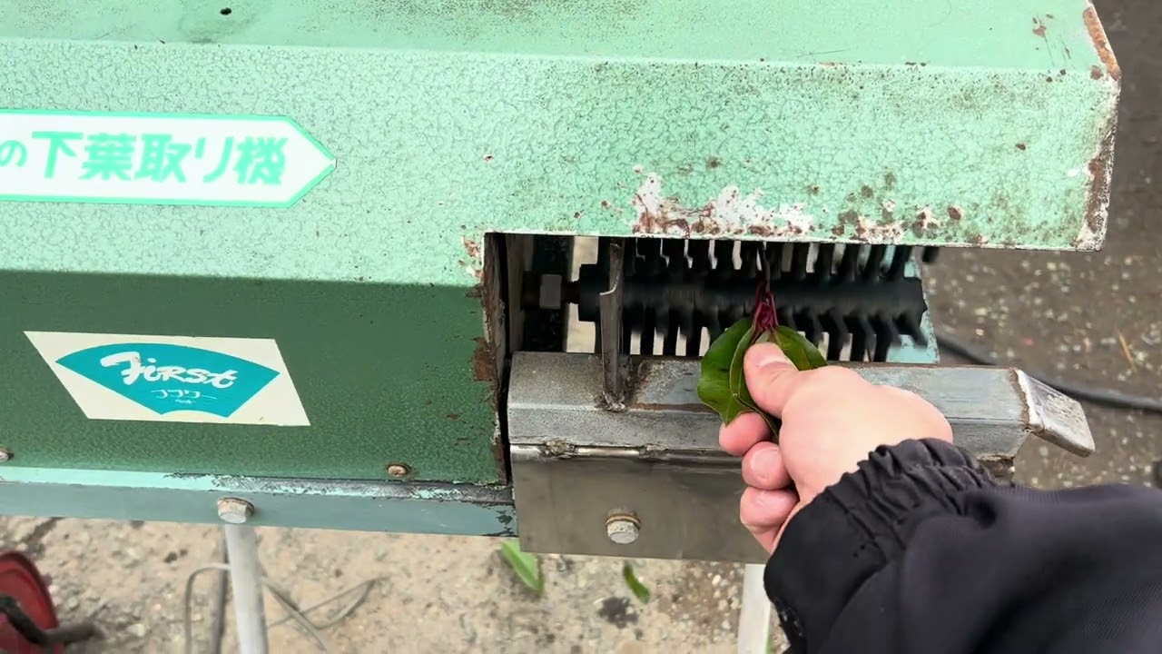 ☆商品紹介☆［s24240］東一 FT 下葉取り機 フラワーペット - YouTube