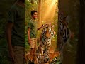 A Boy & Tiger Friendship You Won’t Believe! 🐅❤️ #shorts #shortsfeed