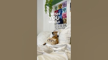 I can’t wait !!!!! 🩵 #1989TaylorsVersion #taylorswift #swiftie