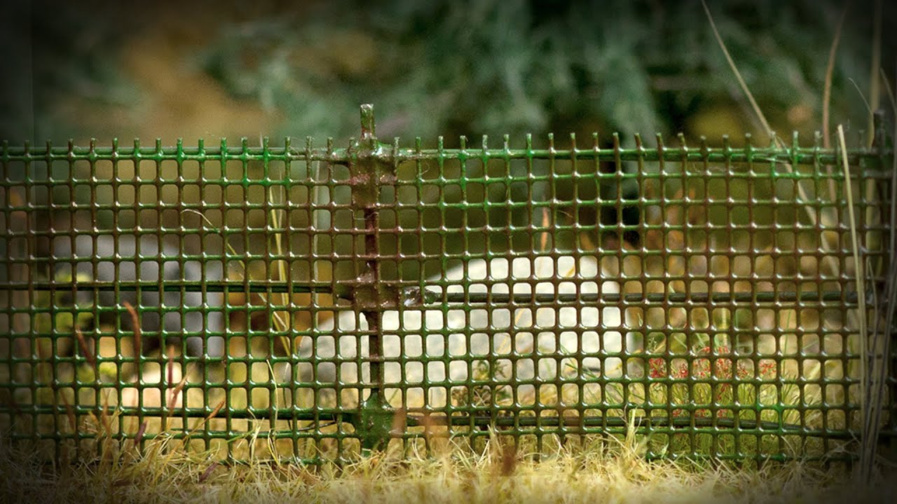 Jak wykonać ogrodzenie z siatki na makiecie.