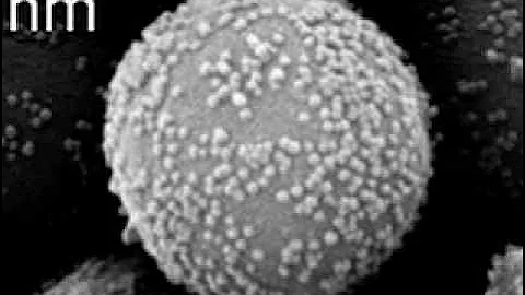 Nanotechnology's Role in Fighting Cancer
