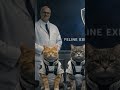 Feline Explorers  #cat #speculativefiction #relaxingmusic