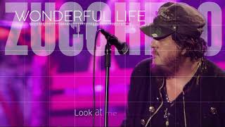 Zucchero - Wonderful Life | lyric