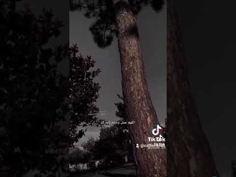 عباد الله ان الله أمركم بأمر بدا فية بنفسة