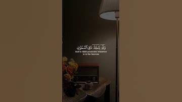 سعد الغامدي سورة النحل  Saad Alghamidi Surat Al Nahl