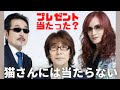 THE  ALFEE 最新シングル【The2nd Life】発売記念プレゼント当選の報告がありました・・・が、猫さんには届きません(T . T)