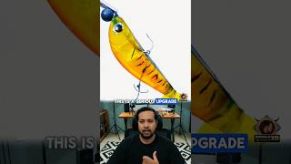 Secret Rig for Big Predator Fish That Hits Hard! #fishing