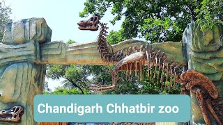 Chhatbir Zoo Chandigarh | Chandiarh zoo | छतबीर चिड़ियाघर | Famous Place in Chandigarh