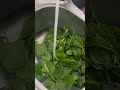 Canh mồng tơi nấu mướp hương #food #viral #asmr #trending