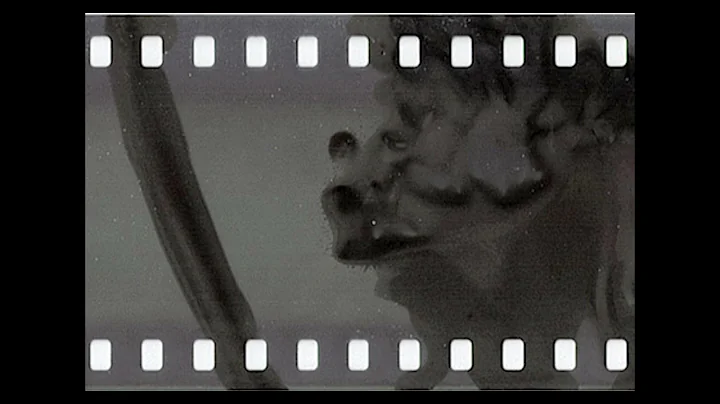 Kimberly Lemons-Phytogram...  Version2