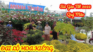 Sài Gòn Tết 2023| Sắc Xuân Rực Rỡ Trên Đại Lộ Hoa Kiểng Quận 7, TRĂM HOA ĐUA NỞ Chờ Xuân Về | TN32