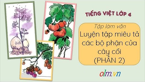 Luyện tập miêu tả các bộ phận của cây cối [PHẦN 2]- Tiếng Việt 4 tuần 22- OLM.VN