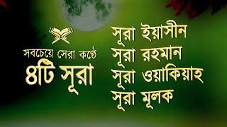 হৃদয় জুড়ানো তেলাওয়াত সুরা ইয়াসিন। বাংলা অনুবাদ সহ | Zikrullah