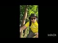 Синий номер Синий номер