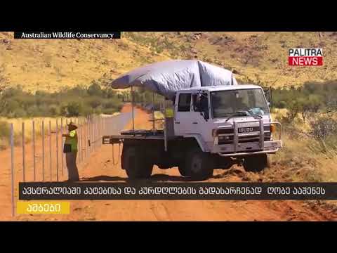 ავსტრალიაში კატებისა და კურდღლების გადასარჩენად ღობე ააშენეს