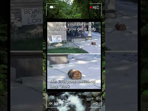 My Pet Log Lol Pets Memes 