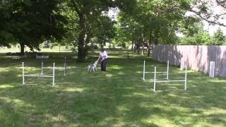 Cleo handling practice 6 13 16