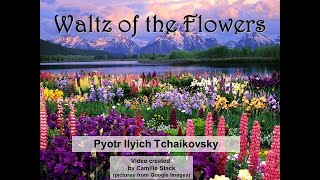 Waltz of the Flowers DEMO (C. Stack)