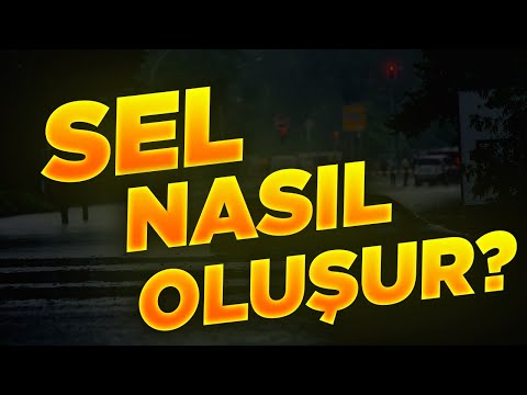 Sel Nedir? Nasıl Oluşur?