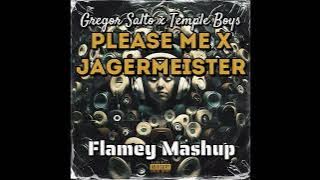Gregor Salto x Temple Boys - Please Me Vs Jagermeister (Flamey Mashup)