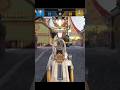 Kill Confirmed Match On Zoo With The Argus #3 #codm #codmobile #callofdutymobile #codkillconfirmed
