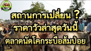 สถานการณ์เปลี่ยนในแต่ละนัด?ราคาวัวล่าสุดวันนี้ตลาดนัดส้มป่อย"กับราคาวัวเนื้ออ้วนและโครง