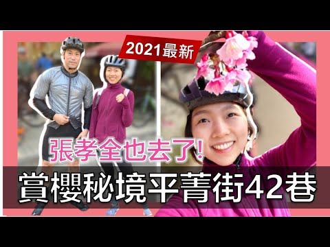 【平菁街42巷】台北賞櫻必去秘境｜春季限定｜拍照打卡教學｜陽明山｜士林｜公路車Vlog Part1