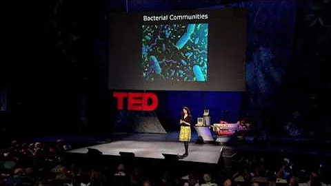 Bonnie Bassler: The secret, social lives of bacteria - 天天要闻